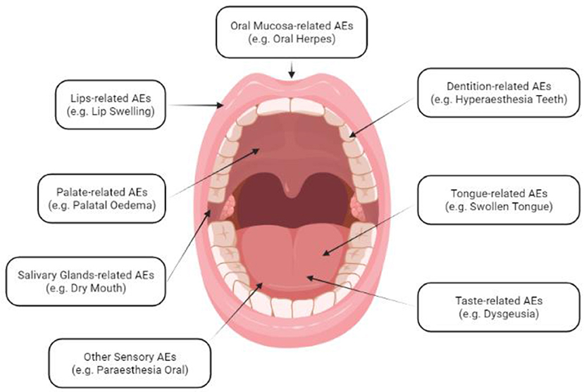 Understanding Dry Mouth During COVID-19: Causes and Treatment