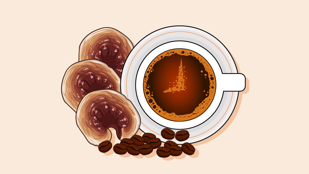 Does Mushroom Coffee Break a Fast? Everything You Should Know