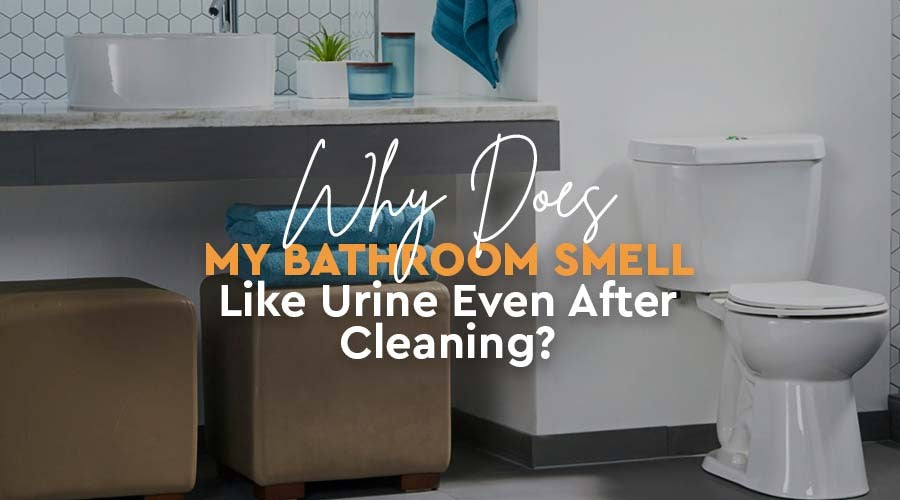 Why Is My Toilet Smelling Like Urine? Tips to Eliminate the Odor