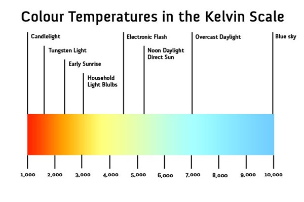 best lighting increments for most plants