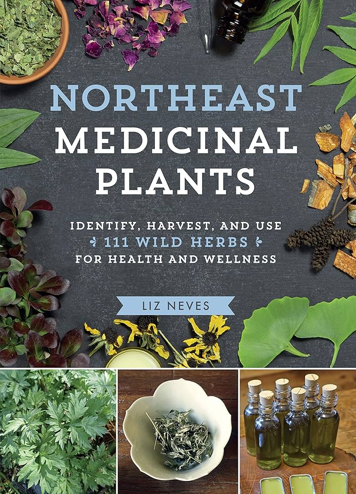 Exploring Medicinal Herbs Starting With N: From Neroli to Nutmeg