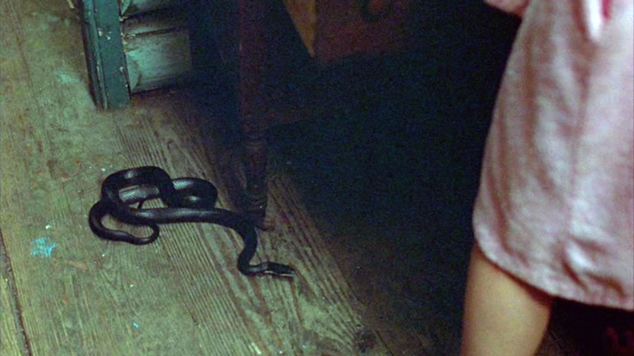 Real or Fake? The Story Behind the Snake Death in Friday the 13th