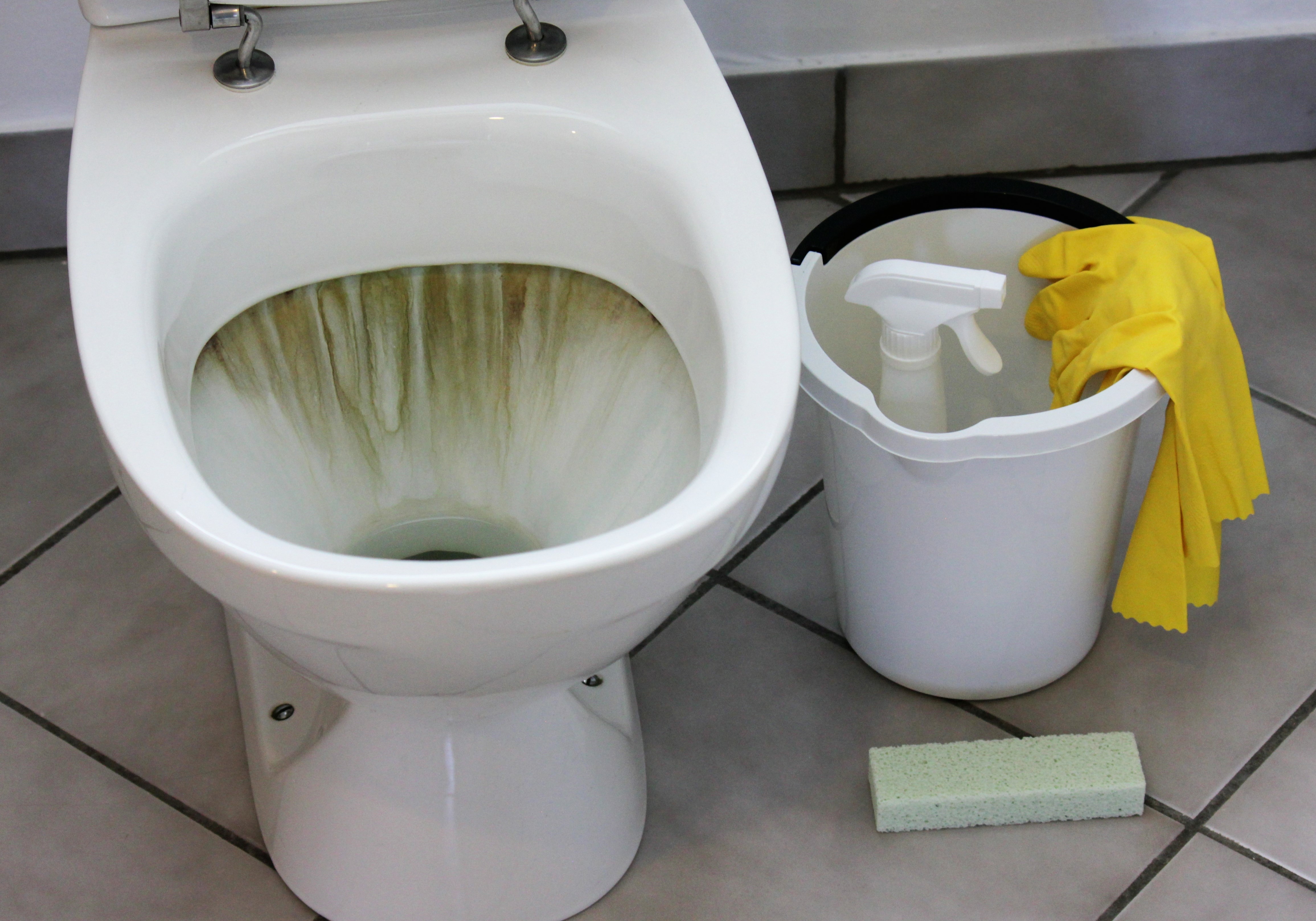 Understanding Urine Scale in Toilets: Causes and Prevention