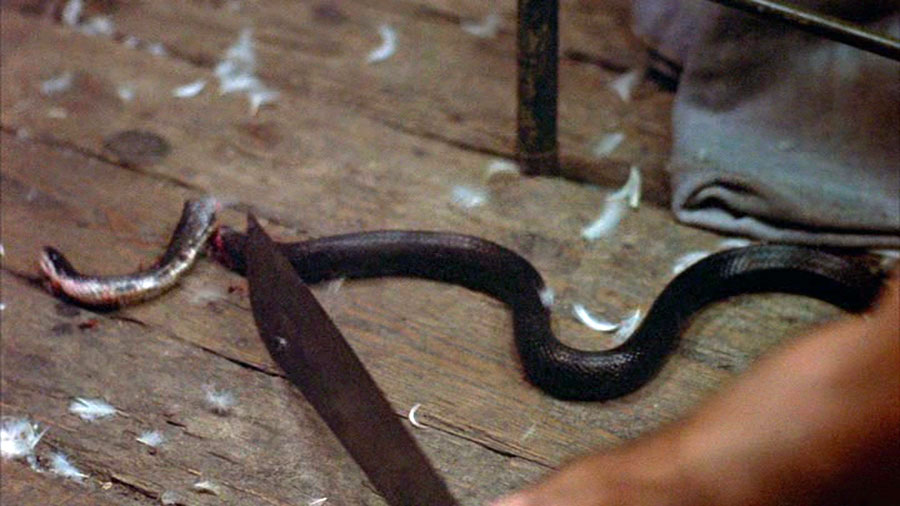 Real or Fake? The Story Behind the Snake Death in Friday the 13th