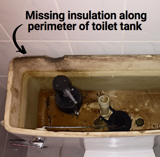 black mold toilet tank