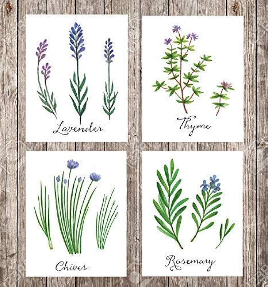 Discover Stunning Herb Art: Lavender, Rosemary, and More for Your Home