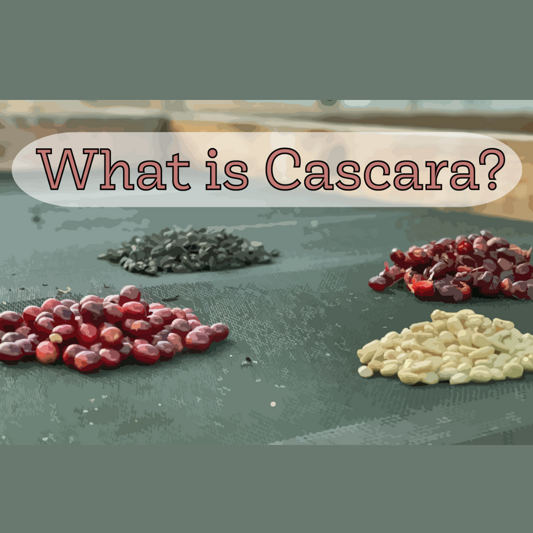 Discover the Powerful Health Benefits of Cascara Tea