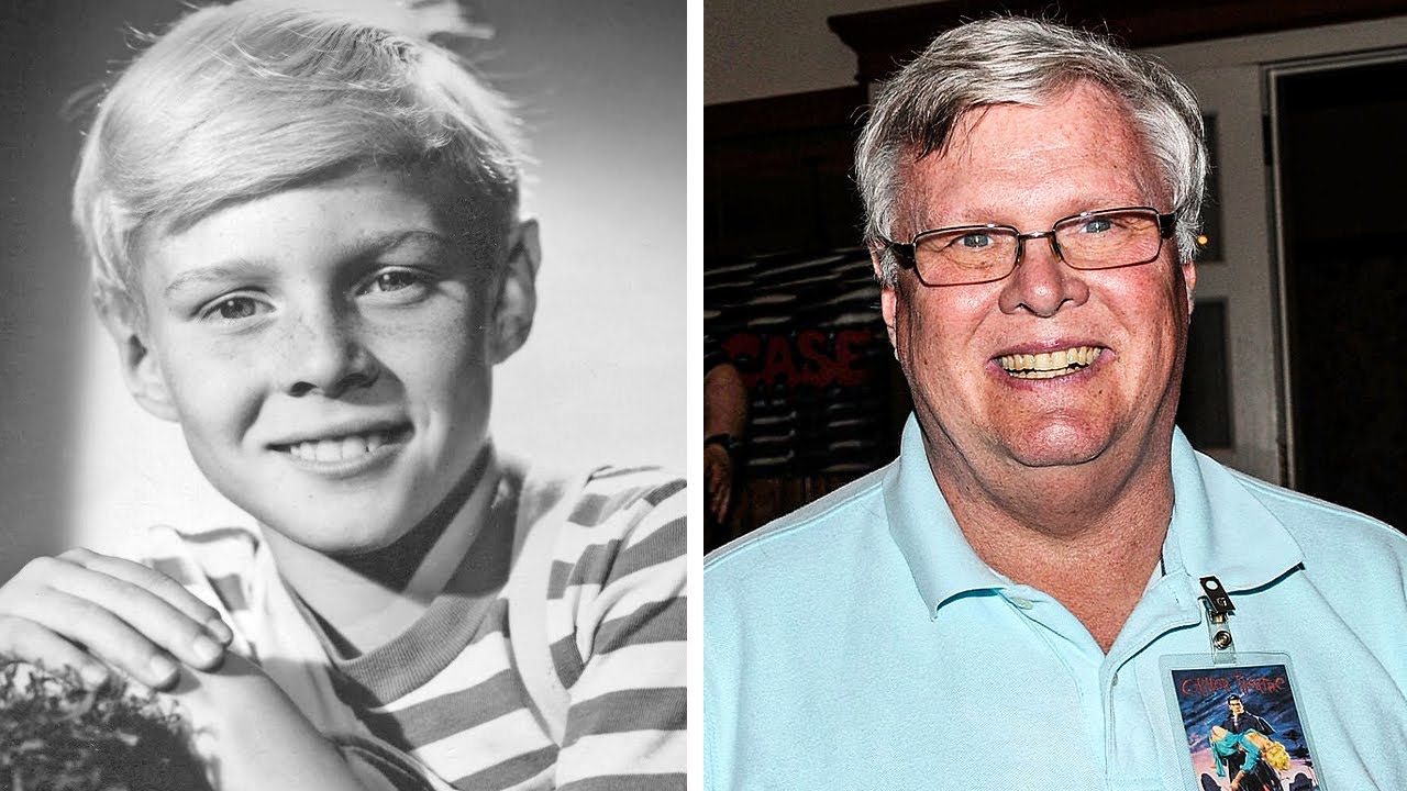 Jay North: The Rise and Legacy of the Dennis the Menace Star