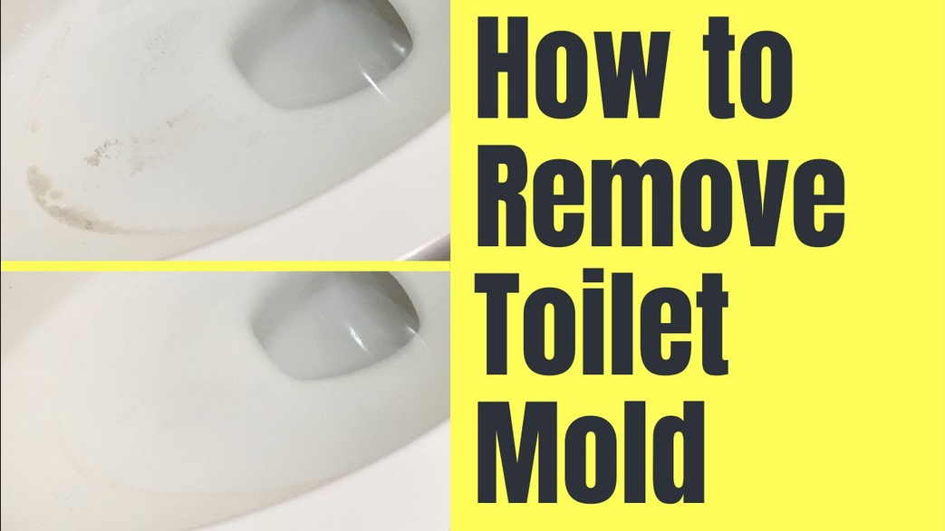 How to Easily Remove Mold Growing in Your Toilet Tank