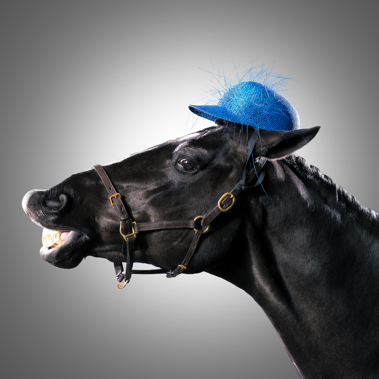 Stylish Hats for Horse Races: Make a Statement This Season.