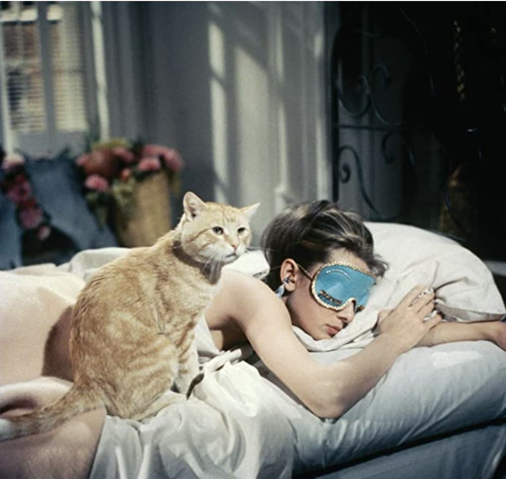 Discovering the Cat in Breakfast at Tiffanys Name and More