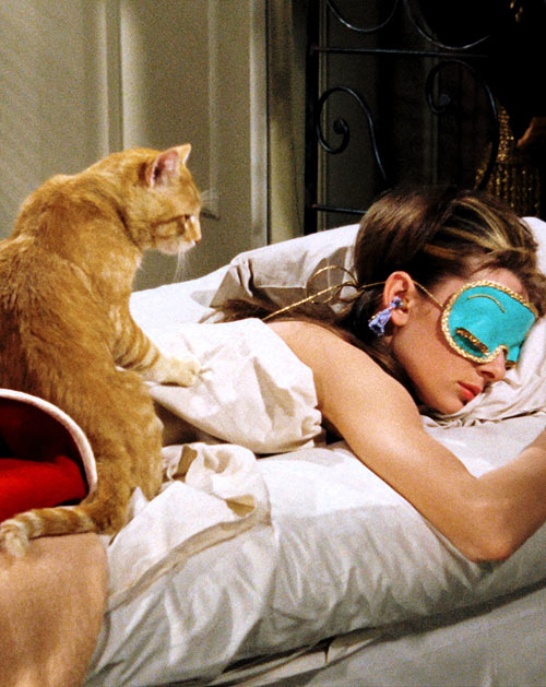 Holly Golightly Cat: The Coolest Cat in Breakfast at Tiffanys