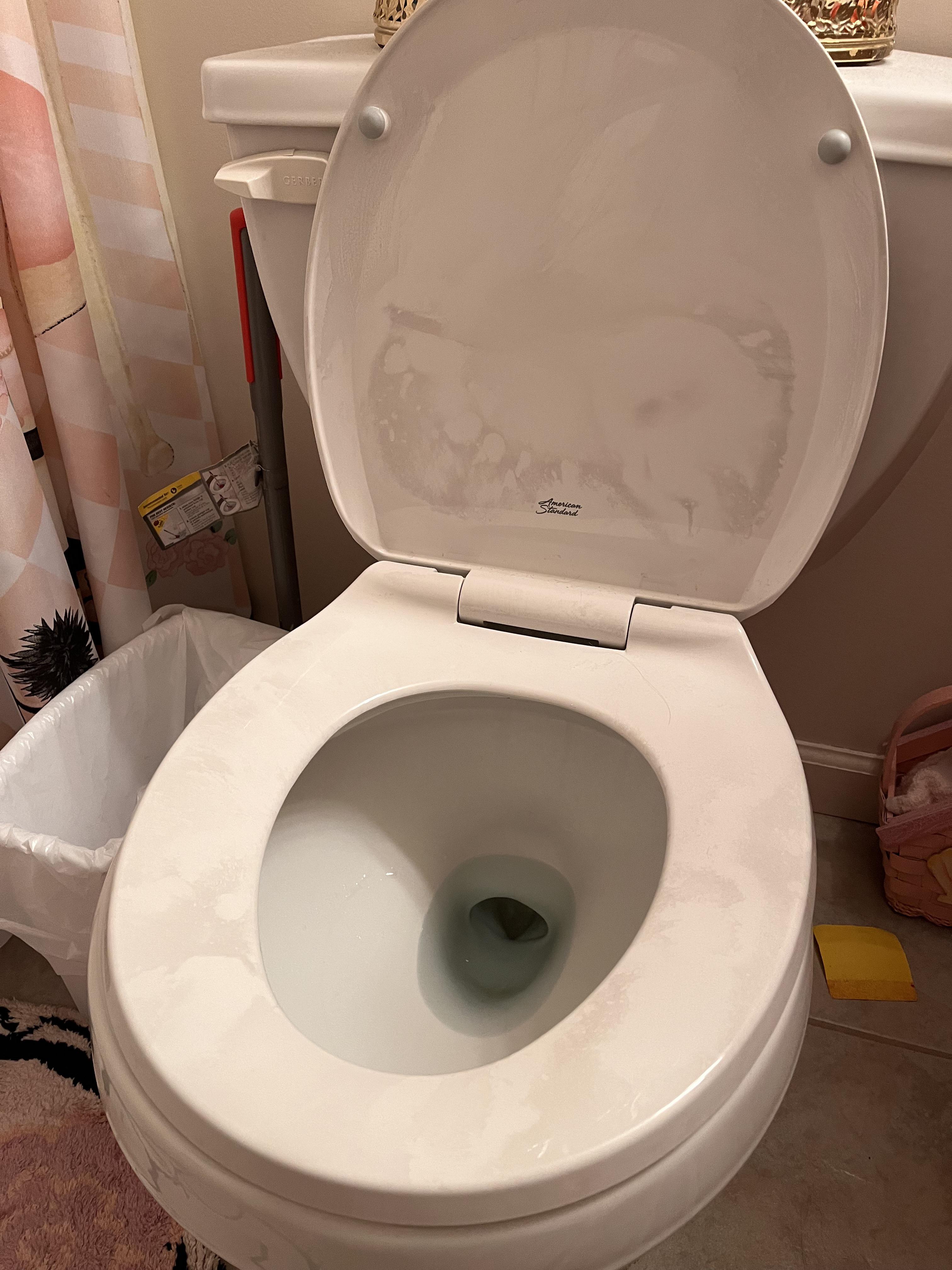 Black Stuff on Toilet Seat After Sitting?  Dont Panic, Try This