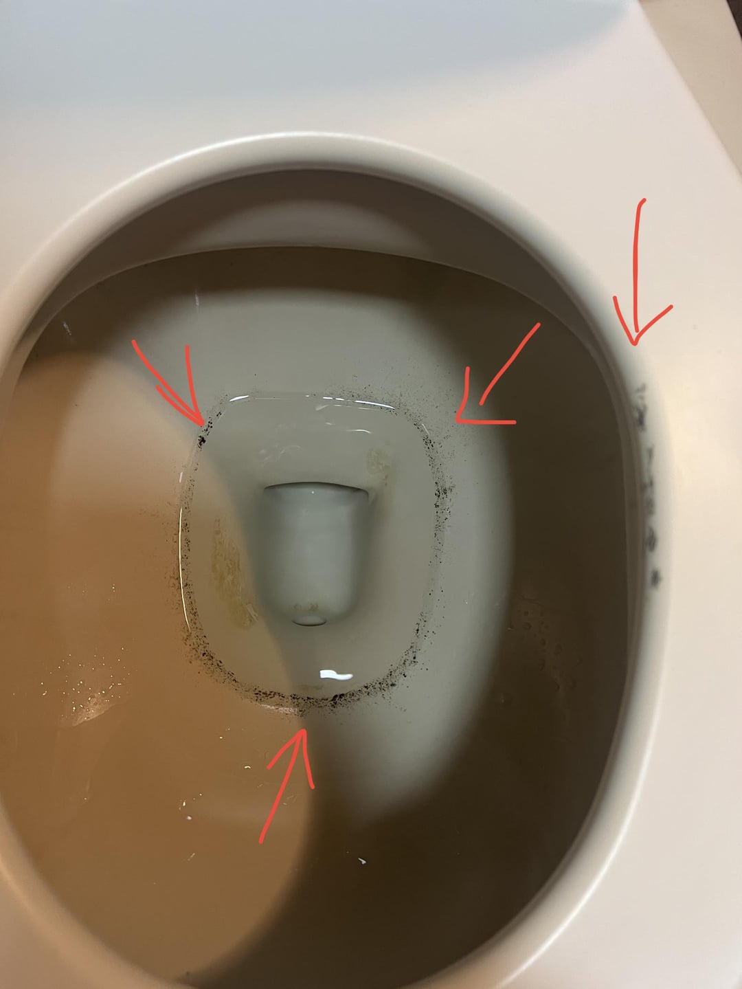 Black Toilet Stains Appearing? Heres What Might Be Causing It