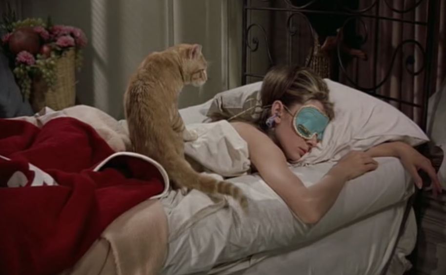 Holly Golightly Cat: The Coolest Cat in Breakfast at Tiffanys