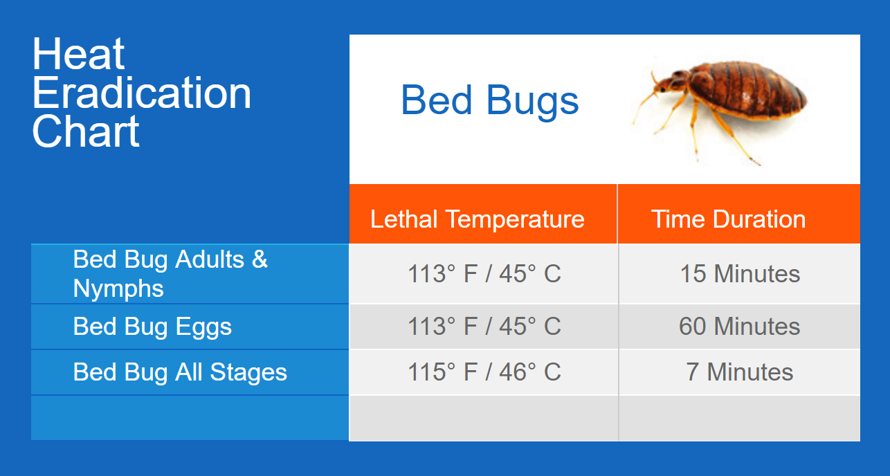 Do Bed Bugs Hate Peppermint Oil? Facts and Effectiveness