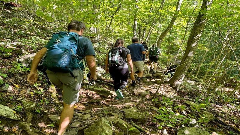 Hiking to Lose Weight: Simple Tips for Maximum Results