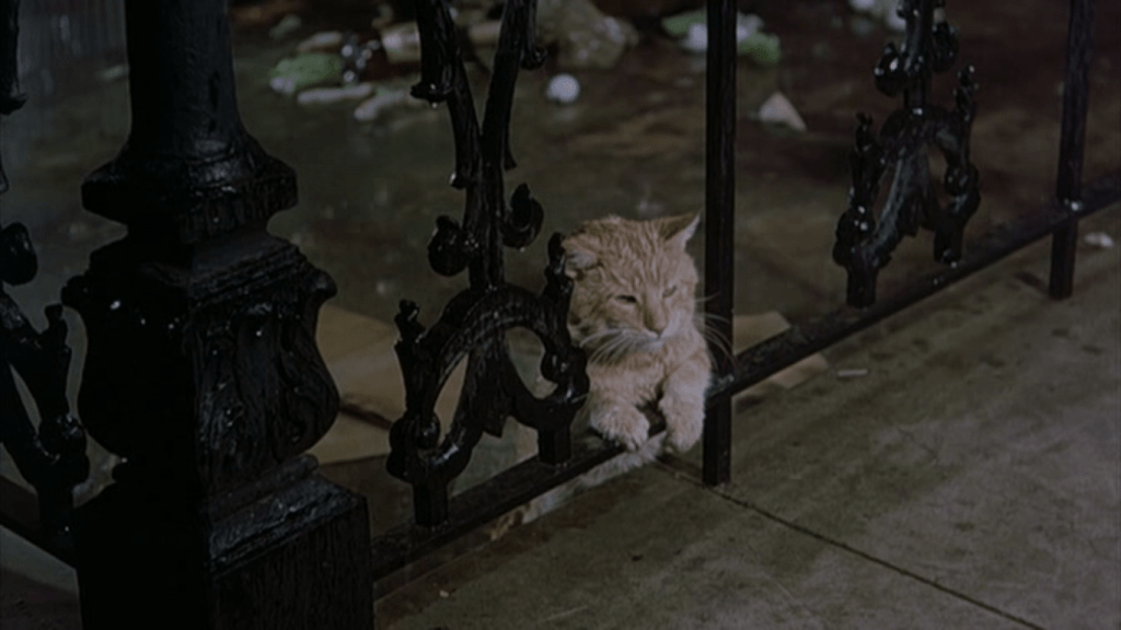 Discovering the Cat in Breakfast at Tiffanys Name and More