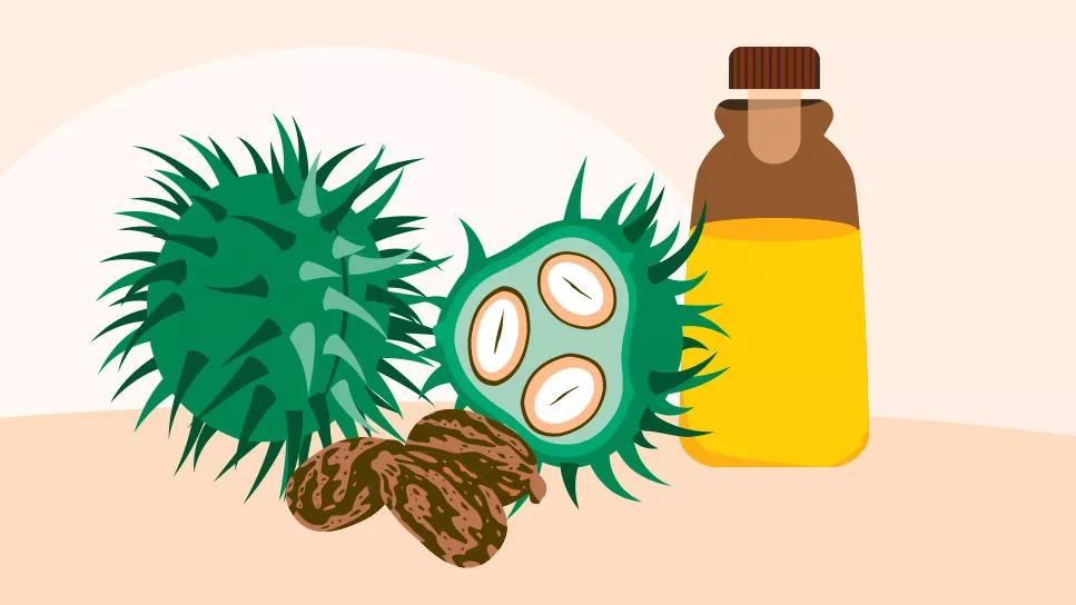 Is Castor Oil Safe for Periods? Side Effects and Precautions