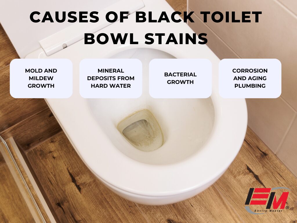 Black Toilet Stains Appearing? Heres What Might Be Causing It