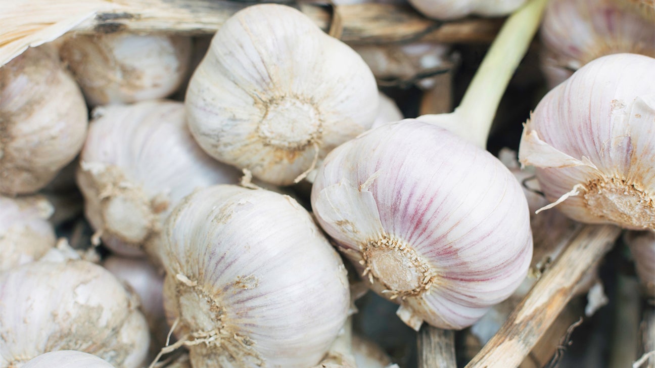 The Truth About Garlic in Socks: Benefits and Potential Risks